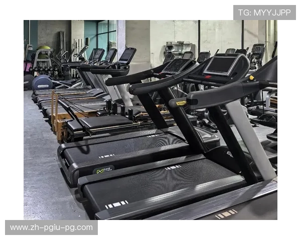 高原特色健身设备:云南力量训练器材专业测评 高原特色健身设备:云南力量训练器材专业测评